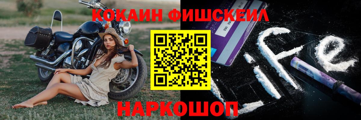 Cocaine Fish Scale  Вход с VPN  Лянтор 