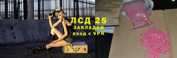 хмурый Алзамай