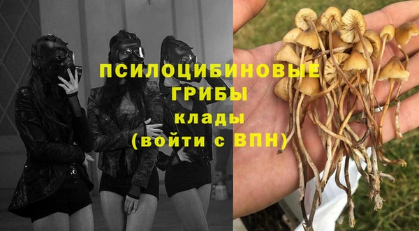 дурь Алексин