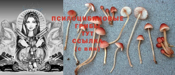 СК Алексеевка