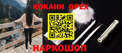 apvp Гусев